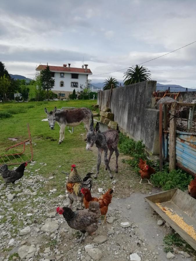 Agroturismo Pagoederraga Orio Ngoại thất bức ảnh